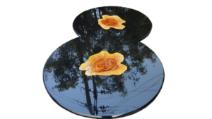 IMG_20221101_171100-removebg-preview